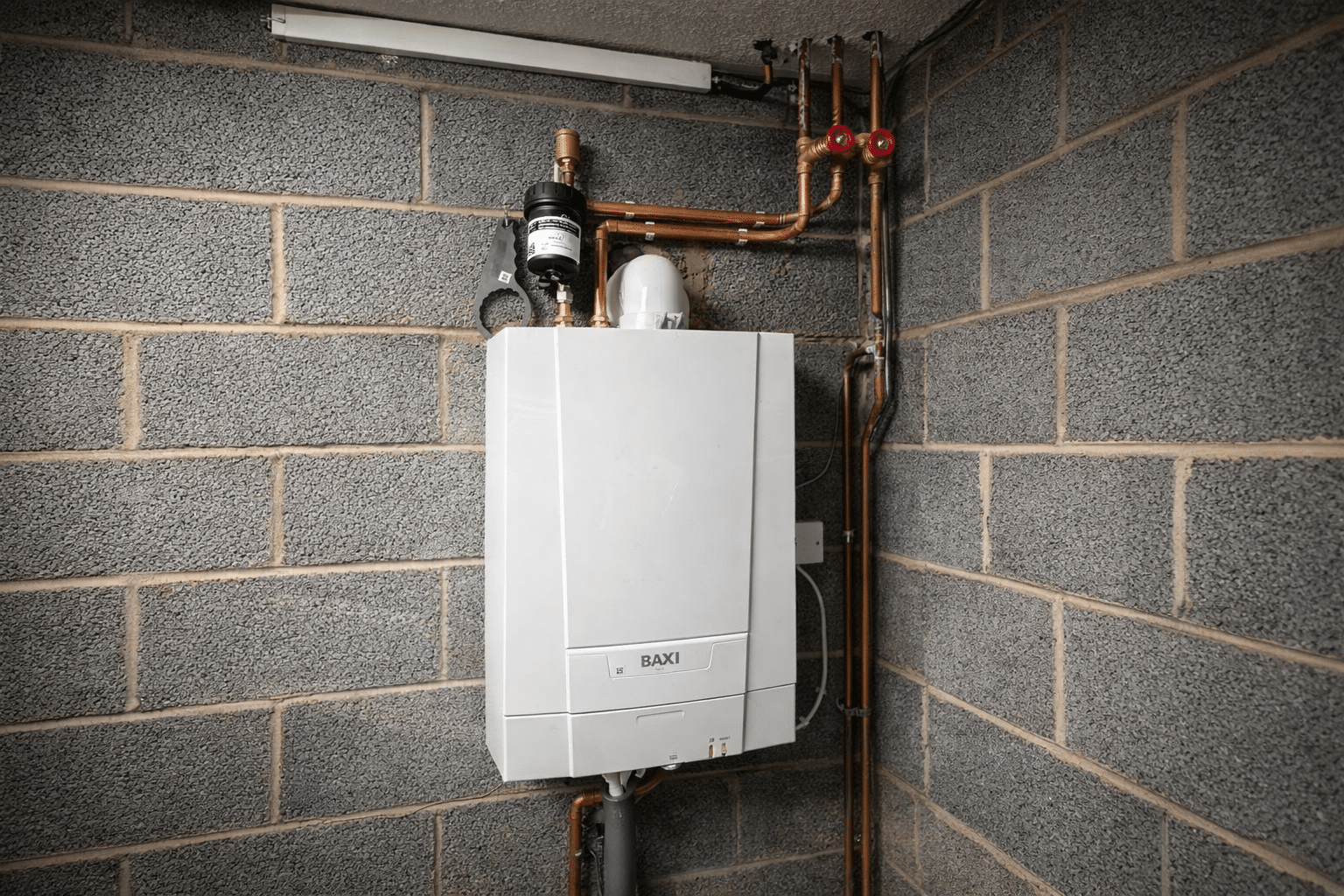 chatgpt image feb 25, 2026 at 02 55 29 am